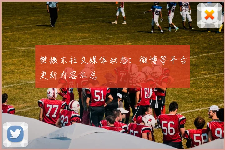 樊振东社交媒体动态：微博等平台更新内容汇总
