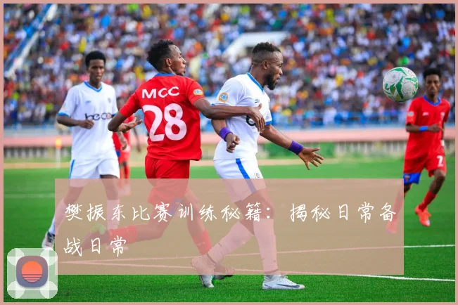 樊振东比赛训练秘籍：揭秘日常备战日常