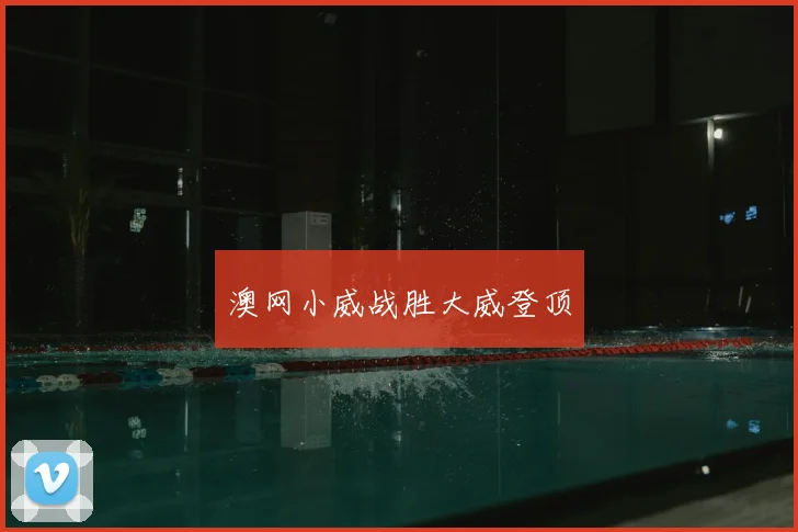 澳网小威战胜大威登顶