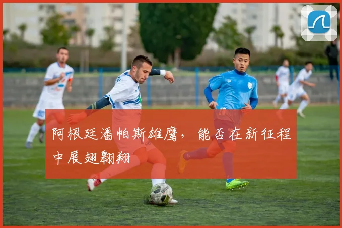 阿根廷潘帕斯雄鹰，能否在新征程中展翅翱翔