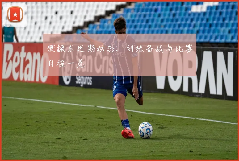 樊振东近期动态：训练备战与比赛日程一览
