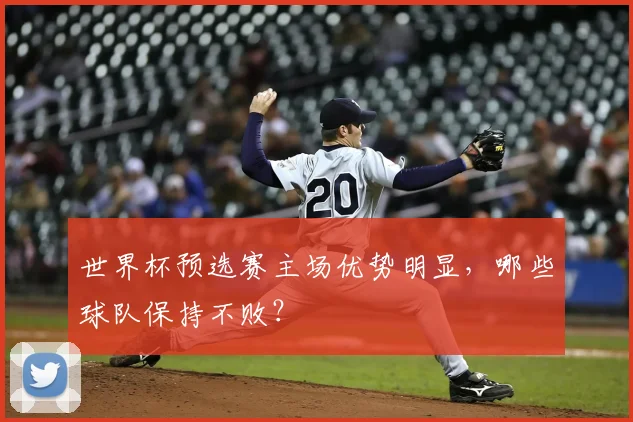 世界杯预选赛主场优势明显,哪些球队保持不败?