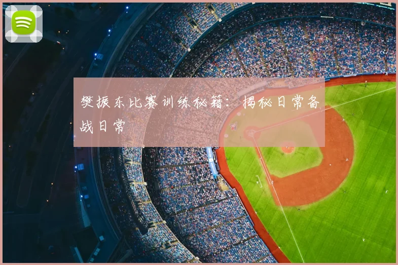 樊振东比赛训练秘籍：揭秘日常备战日常