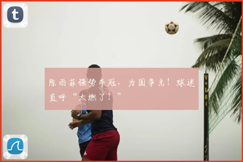 陈雨菲强势夺冠，为国争光！球迷直呼“太燃了！”