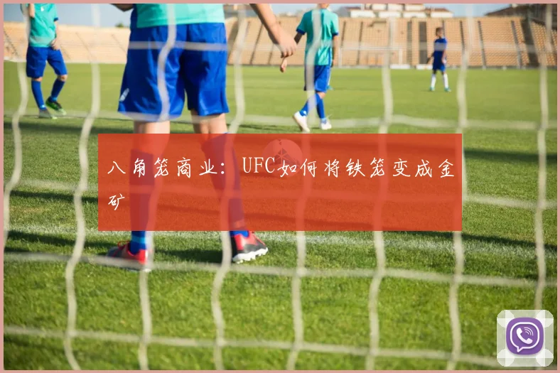 八角笼商业:UFC如何将铁笼变成金矿