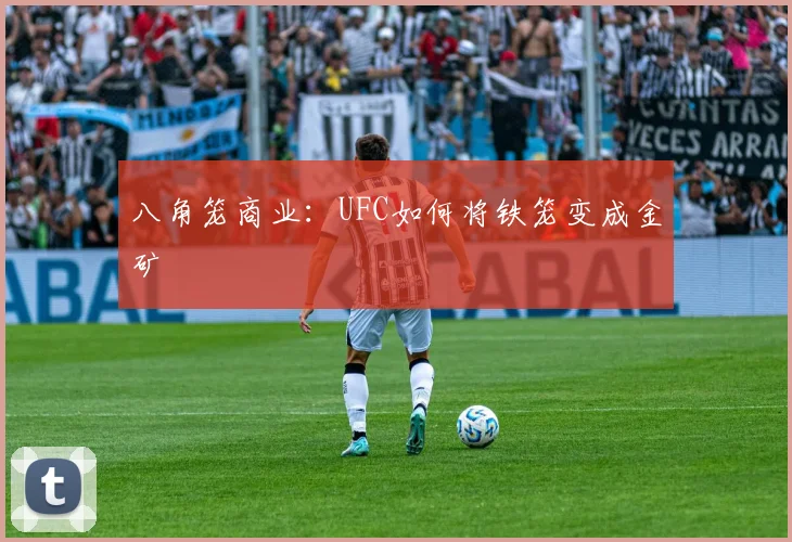 八角笼商业:UFC如何将铁笼变成金矿
