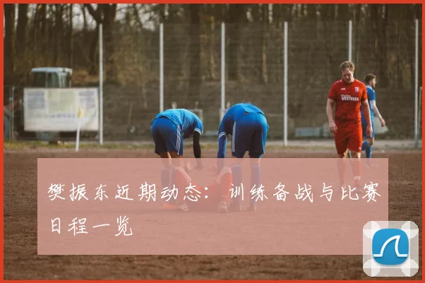 樊振东近期动态：训练备战与比赛日程一览